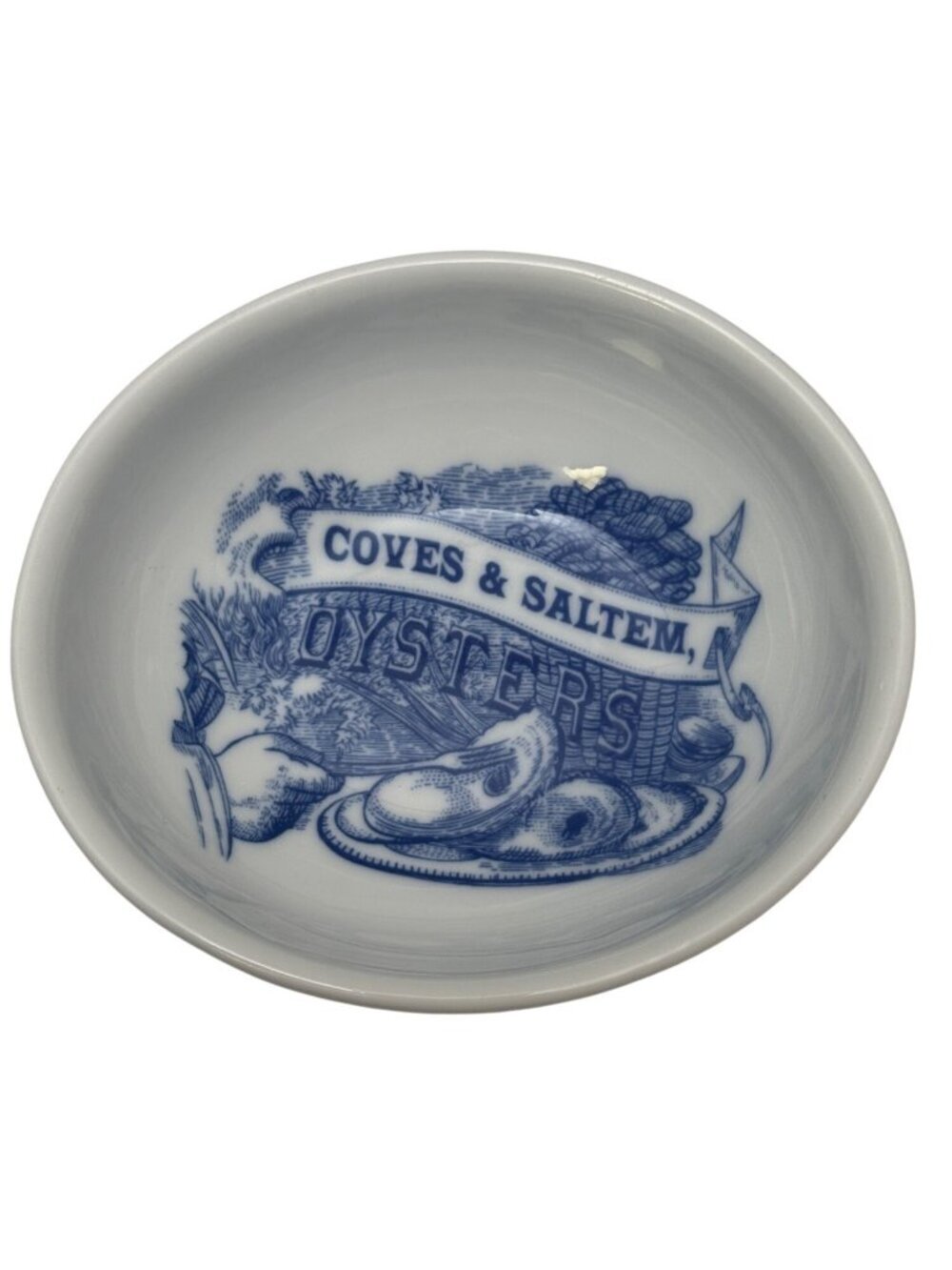 Williams Sonoma Oyster Dipping Bowl Blue White Coves & Saltem Seafood Dish
